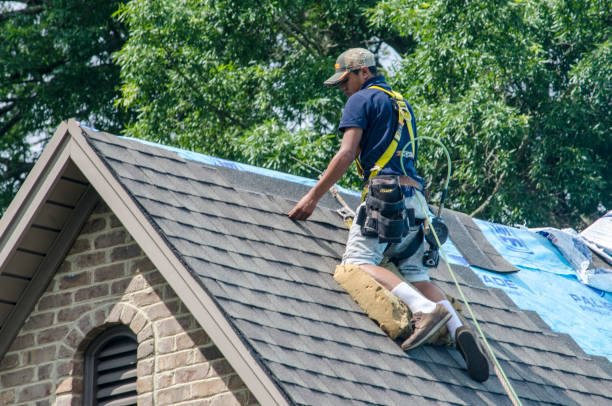 Best Gutter Installation and Roofing  in Liolnton, NC